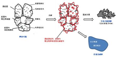 微生物蛋白提取技術(shù)